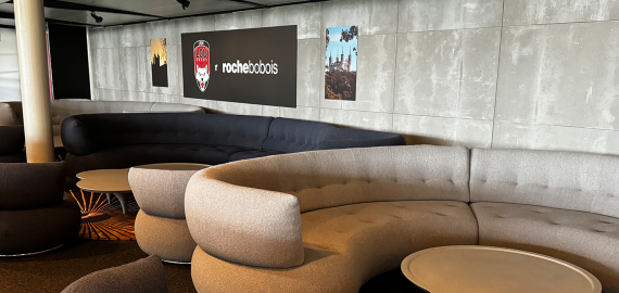 Salon Roche Bobois