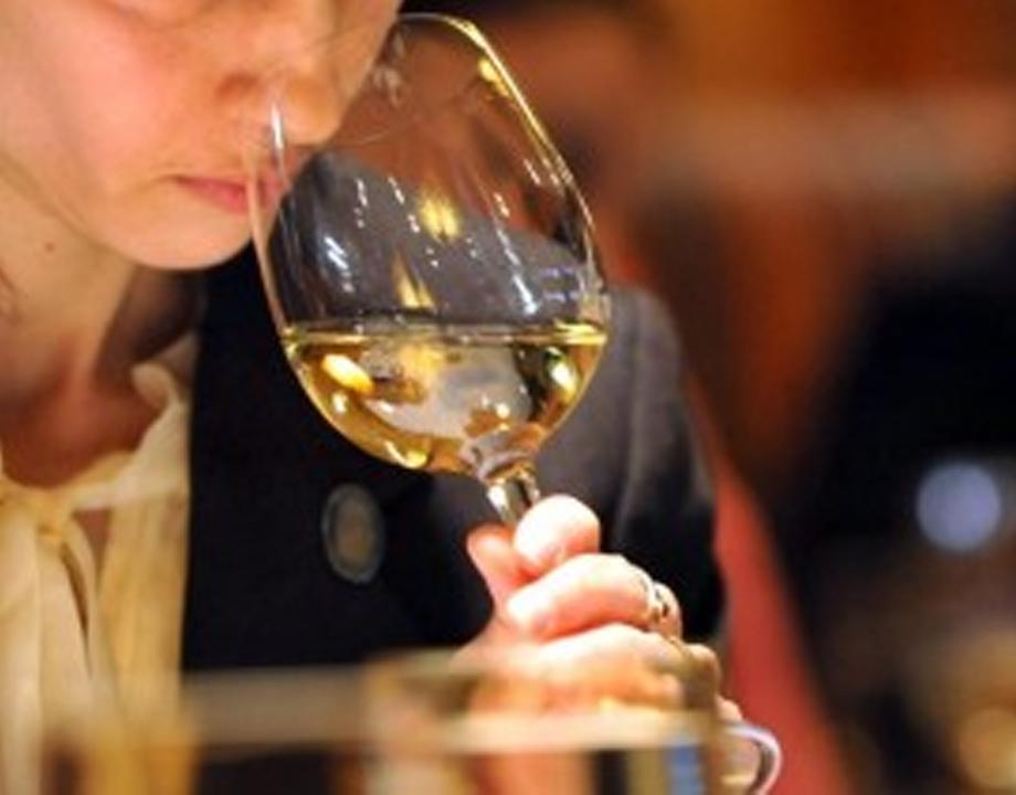 vin blanc rhone
